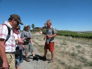 Geologist and viticulturist Alan Busacca at Red Mountain (photo: Gretchen Sorensen)