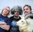 The Melvins