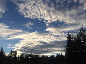 Midnight sky in Fairbanks on the summer solstice (photo: Gene Stout)