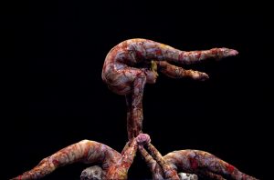 kooza-contortionists-jim-bennett Contortionists (photo: Jim Bennet)