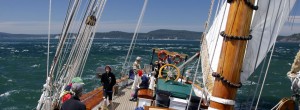 schooner-zodiac Schooner Zodiac